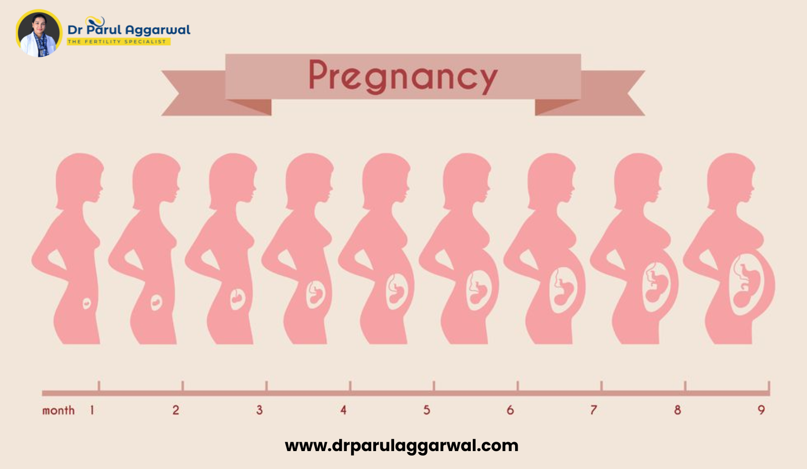 Did You Know Your Baby’s Size Month to Month?
