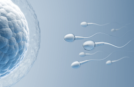 Best IVF Technology in Noida